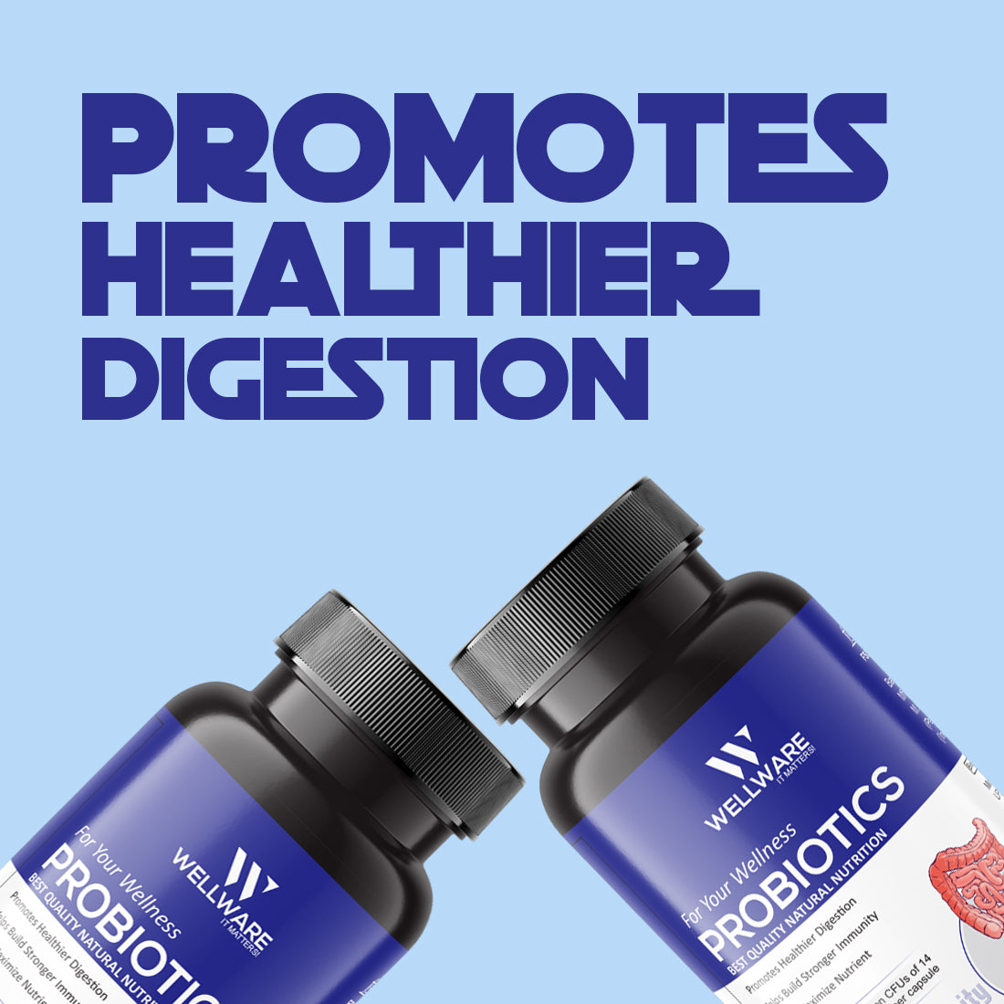 Wellware It Matters For Your Wellness Probiotics Capsule