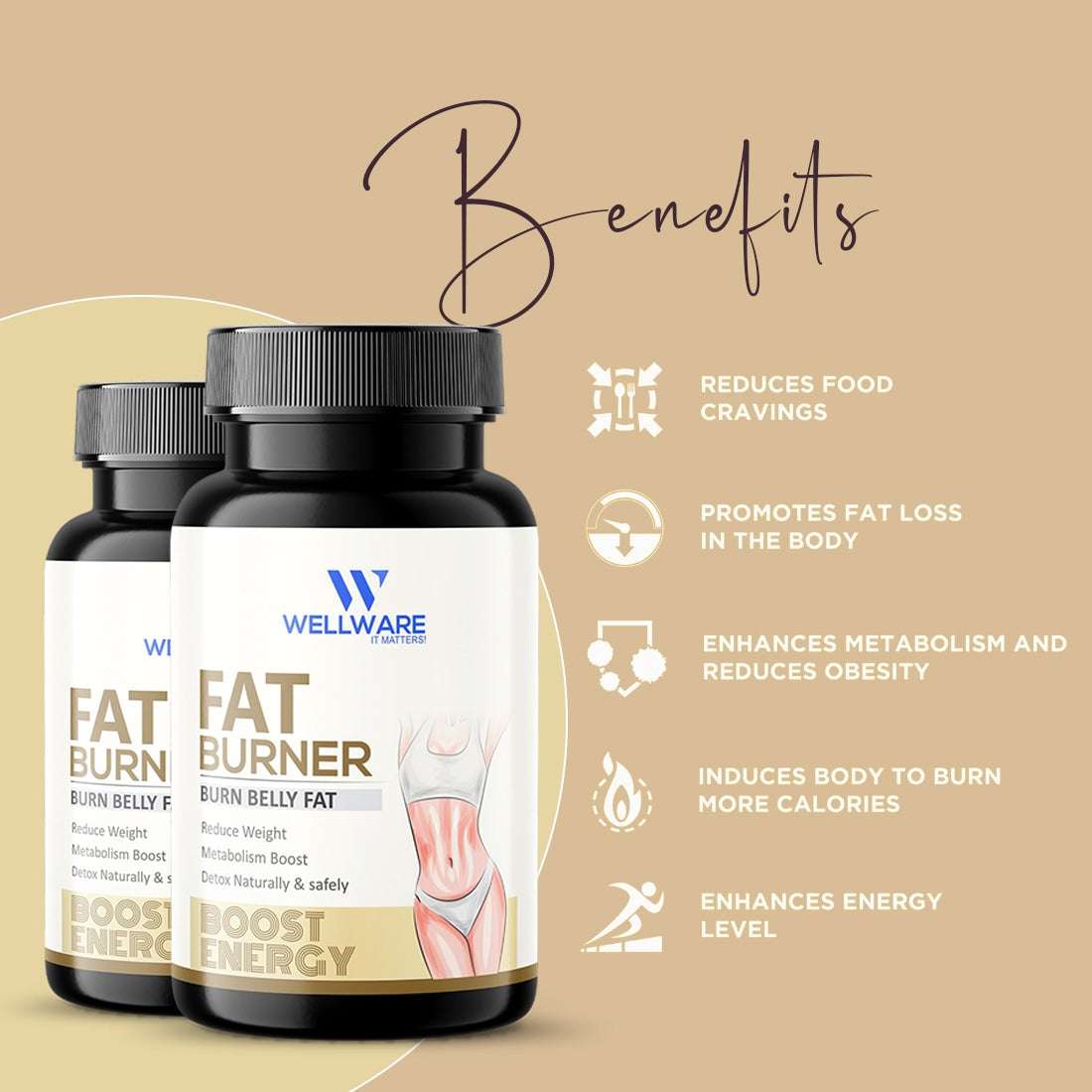 Wellware It Matters Fat Burner Capsule