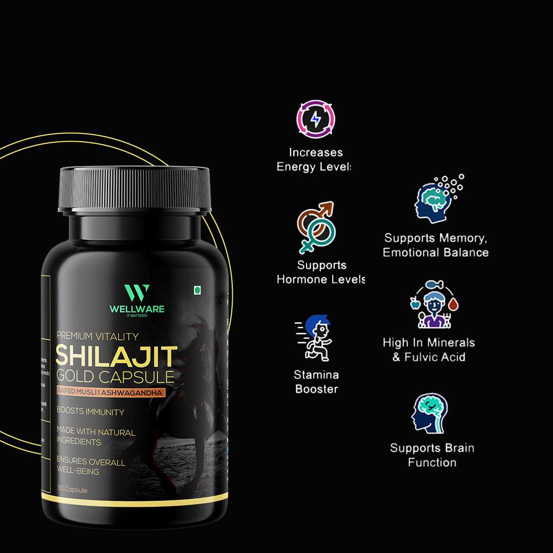 Wellware It Matters Capsule Premium Vitality Shilajit Gold Capsule