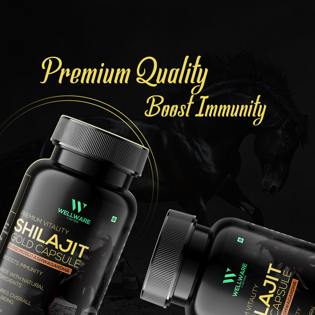 Wellware It Matters Capsule Premium Vitality Shilajit Gold Capsule